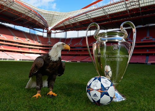 赞比亚主帅：马里大部分球员我都很了解，他们身体非常强壮（赞比亚主帅称了解多数马里球员：身体对抗能力很强）