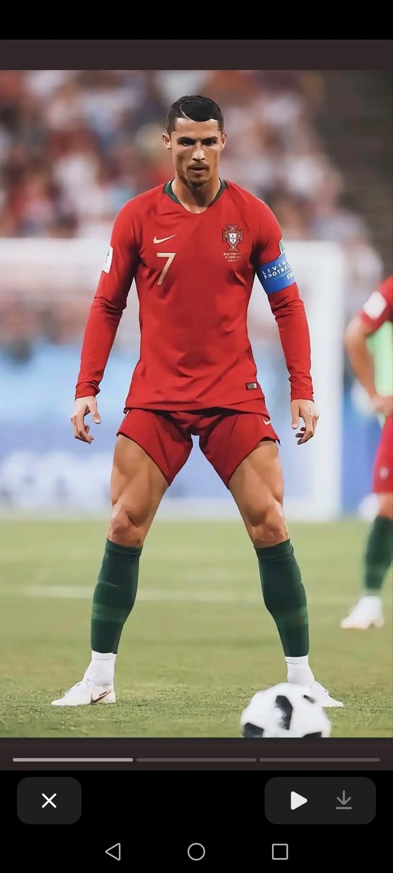 WNBA赛季赛程公布，各队积极备战（WNBA新赛季赛程出炉，各队加紧备战）