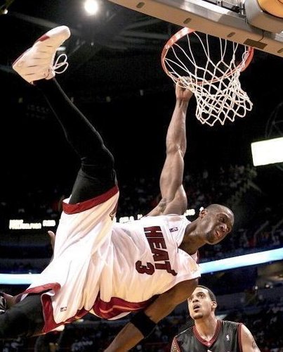 每体：西班牙人举办第三届“鹦鹉不离弃”活动，支持动物领养（每体：西班牙人举行第三届“鹦鹉不抛弃”公益活动，倡导动物领养）